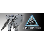 30 Minutes Missions