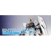 Entry Grade